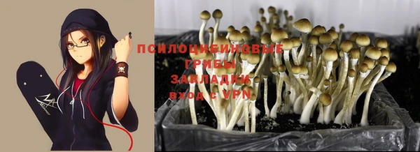 мет Пестово