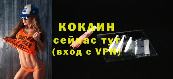 крисы Пересвет