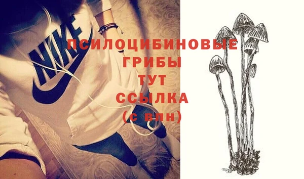 мет Пестово