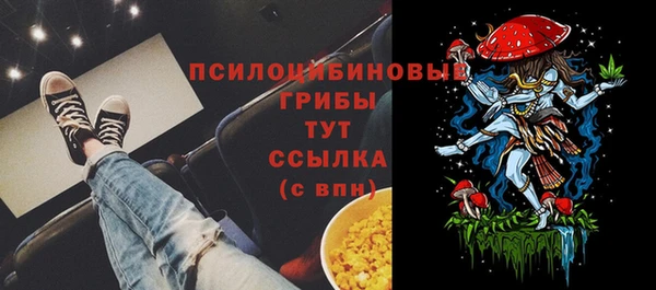 крисы Пересвет