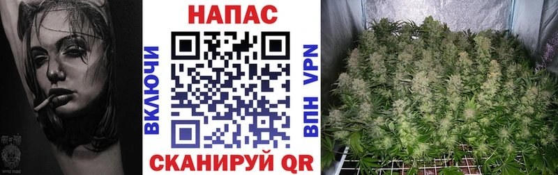 Марихуана конопля ссылка на мегу зеркало Сухой Лог где купить